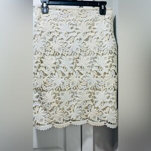 -Ann Taylor Skirt Pre owned